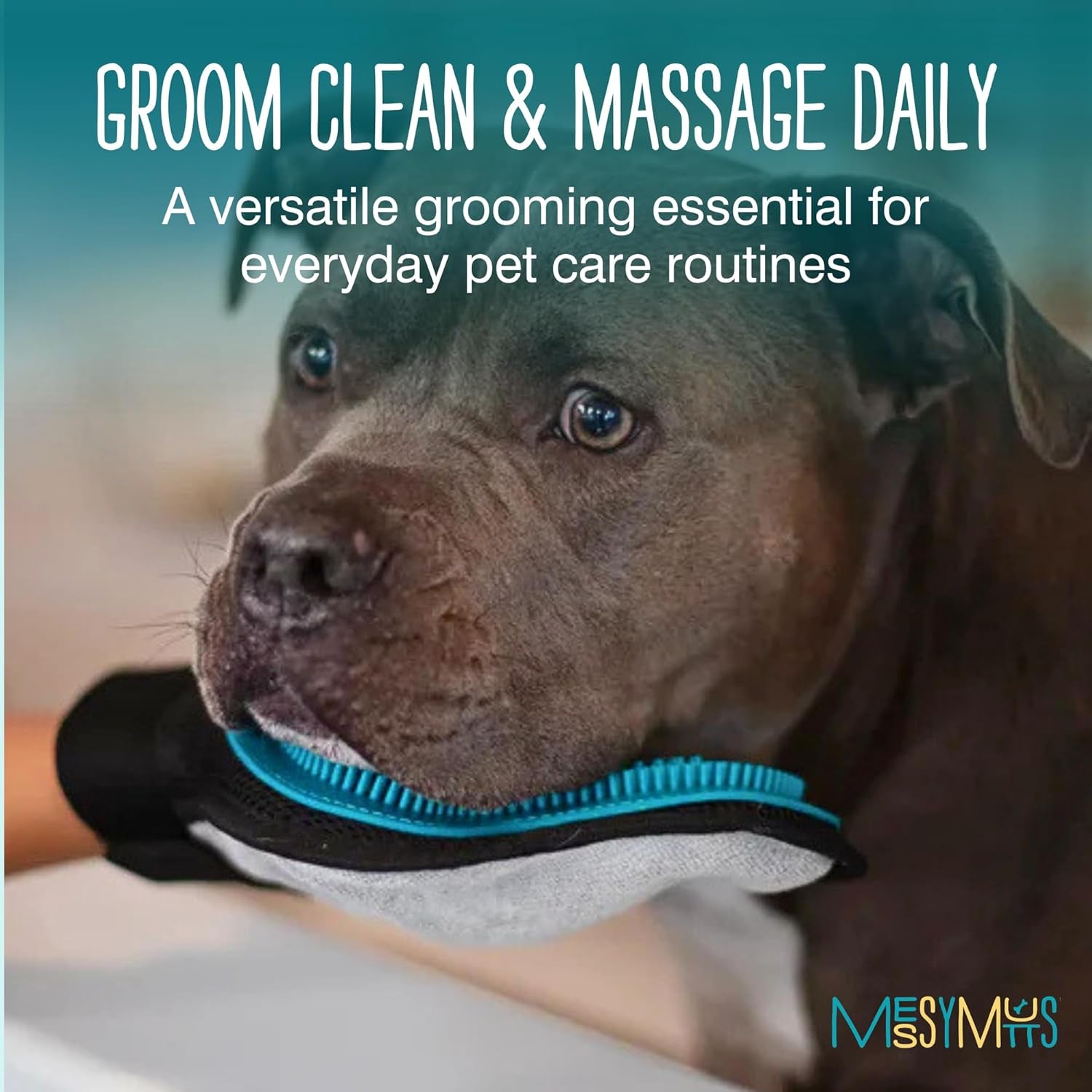 Reversible Silicone Pet Grooming Glove | Gentle Massage, Brush, Bath and Dog Hair Removal Mitt | One Size Fits All | Blue
