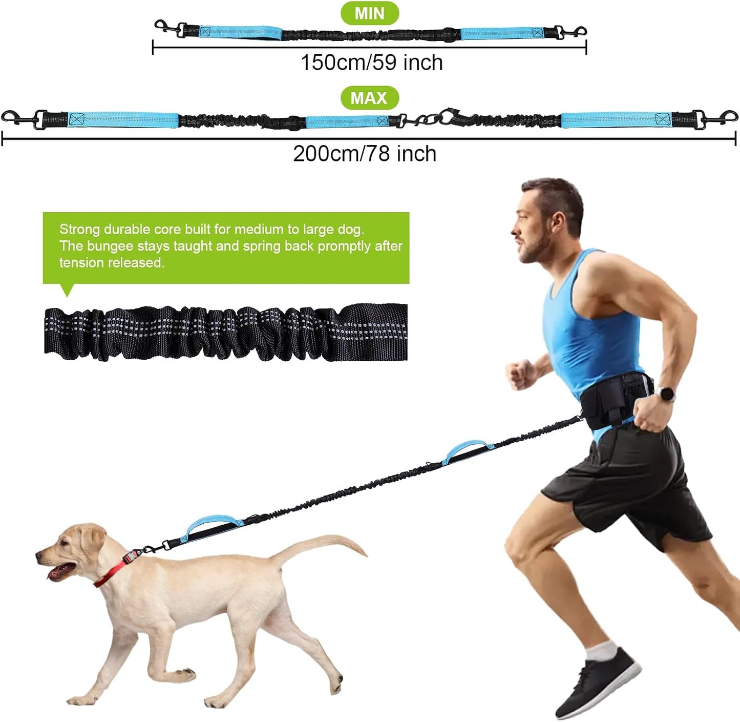 Hands Free Dog Leash, Waist Leash for Dog Walking, Running, Jogging, Waist Leashes with Adjustable Belt, Medium & Large Dogs Running Leashes Hands Free, Dual Padded Handles and Durable Bungee(Blue)